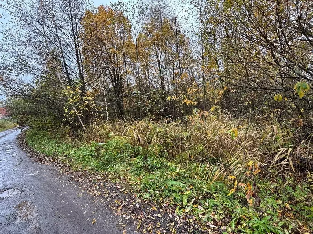 Участок в Московская область, Павлово-Посадский городской округ, д. ... - Фото 1