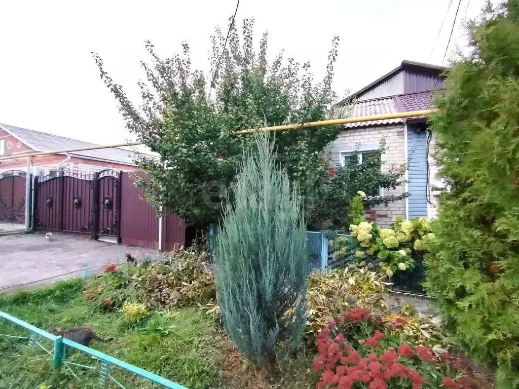 Дом в Белгородская область, Новый Оскол Дачная ул., 15 (80 м) - Фото 2