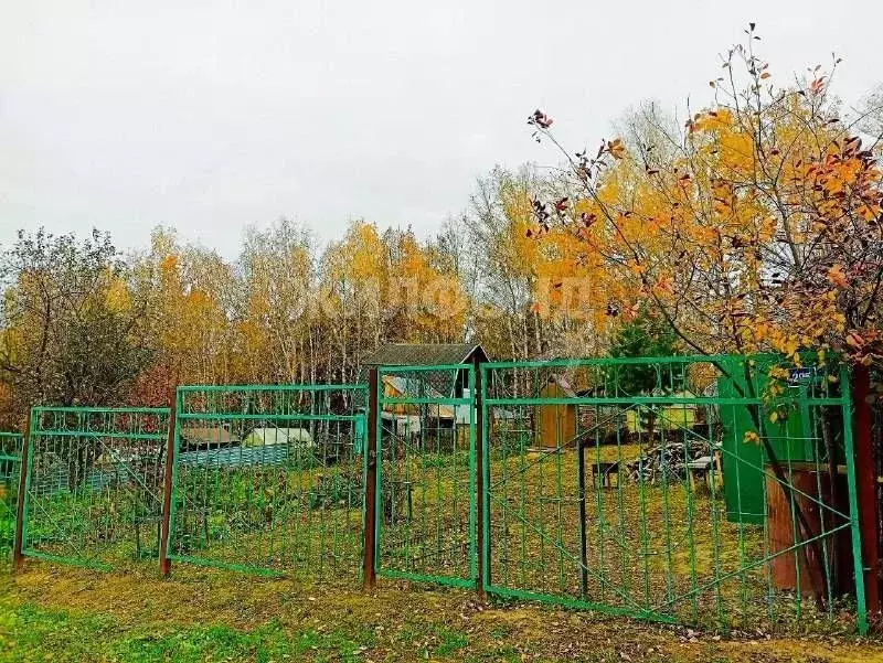 Участок в Новосибирская область, Новосибирск Труд садовое ... - Фото 0