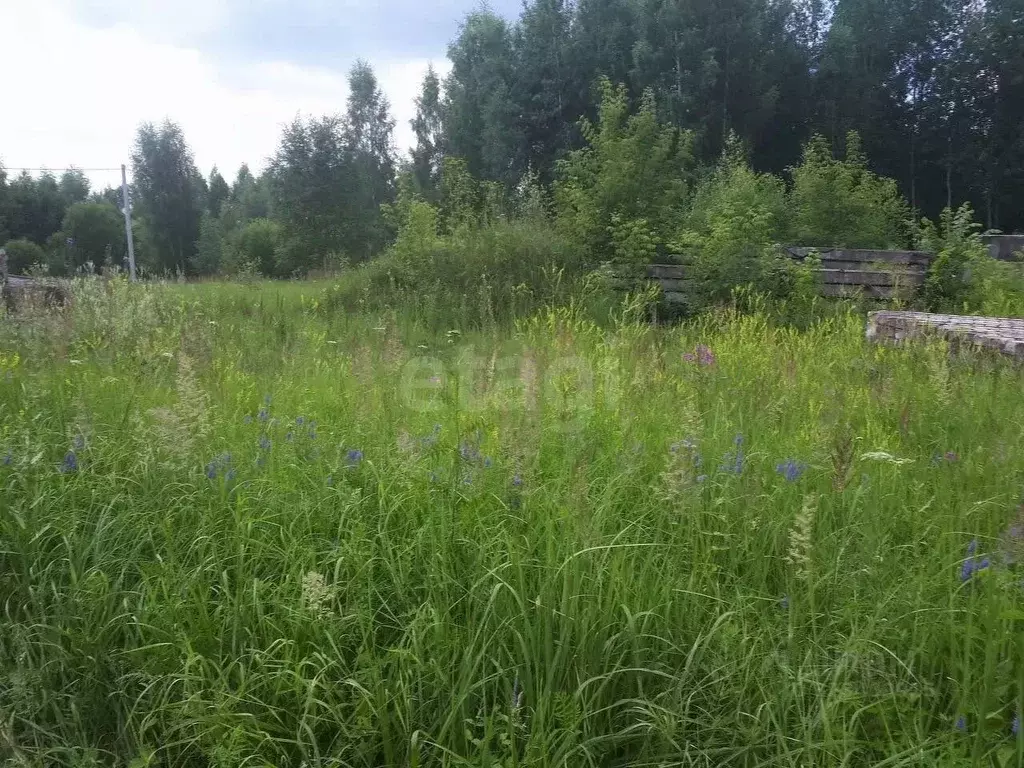 Участок в Ярославская область, Ярославский муниципальный округ, д. ... - Фото 1