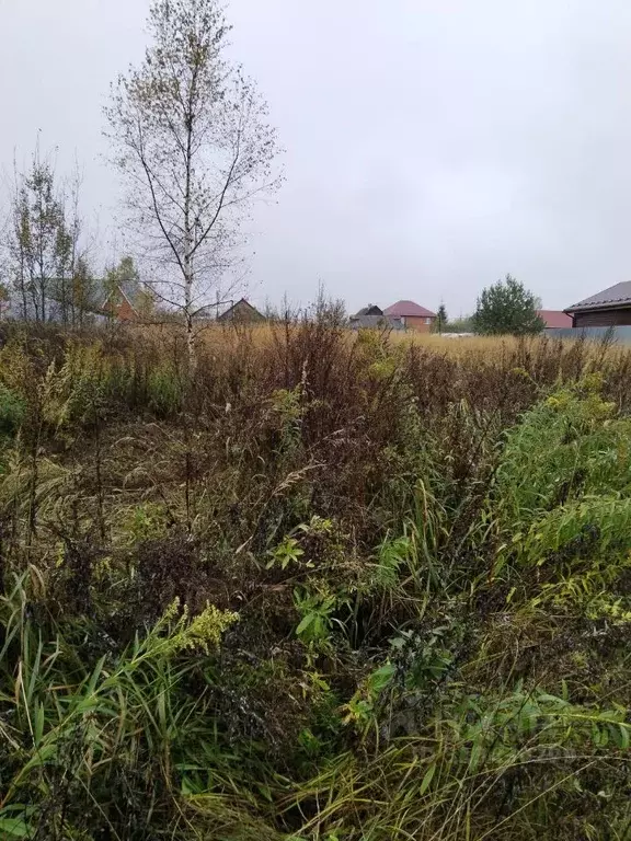 Участок в Московская область, Верея Наро-Фоминский городской округ,  ... - Фото 0