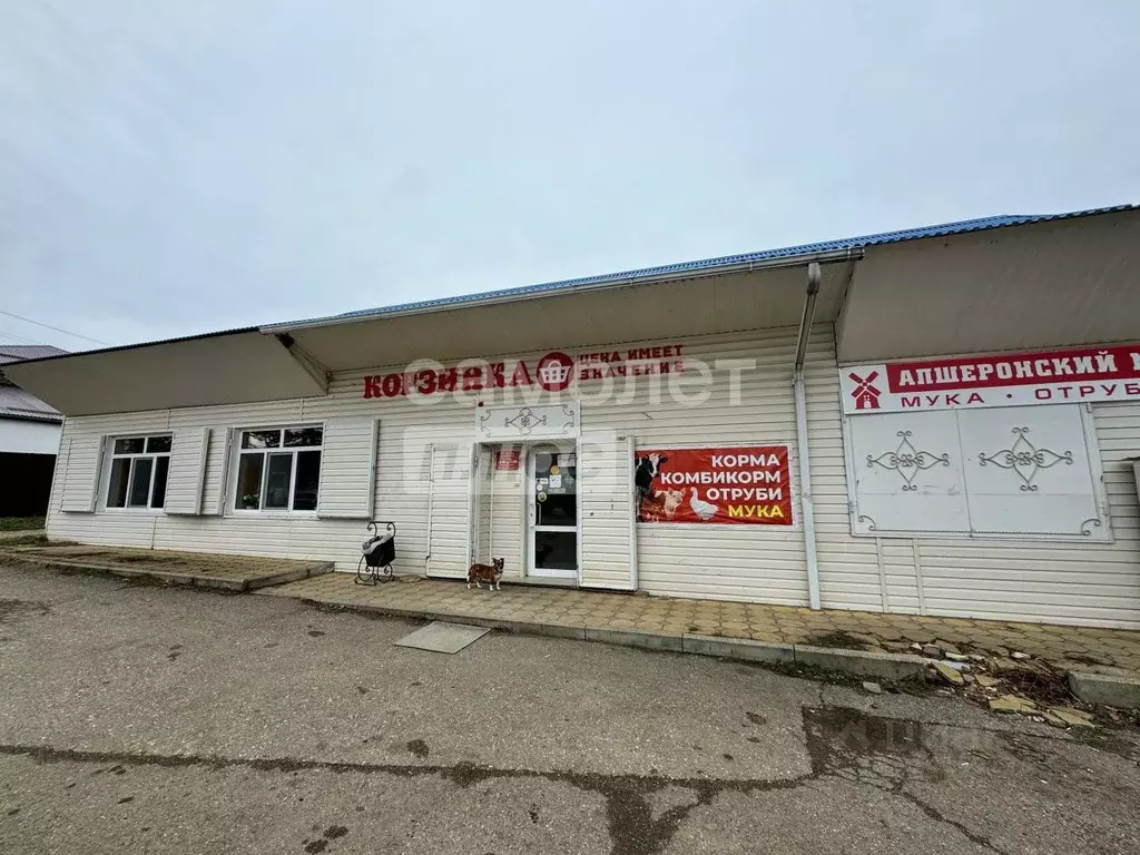 Торговая площадь в Краснодарский край, Апшеронский район, Нефтегорск ... - Фото 0