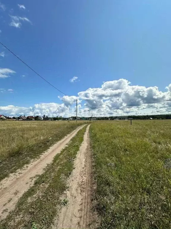 Участок в Новосибирская область, Ордынский район, д. Новый Шарап ... - Фото 1