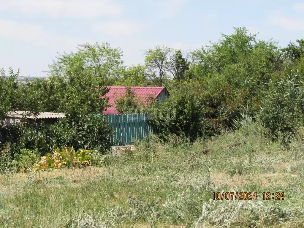 Участок в Волгоградская область, Волгоград Мичуринец СНТ, 74 (15.0 ... - Фото 1