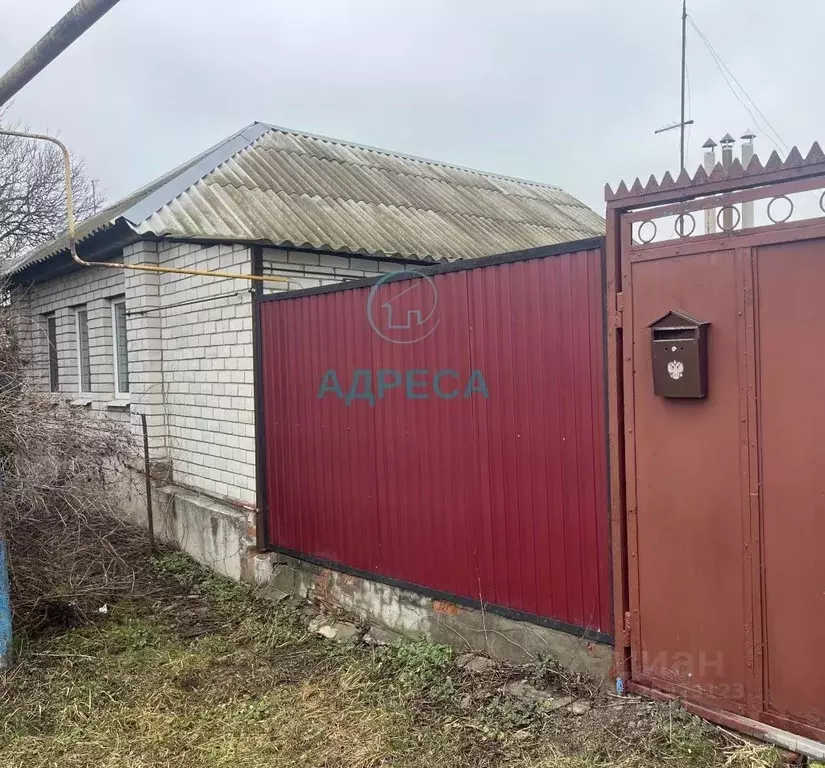 Дом в Белгородская область, Поселок Чернянка городское поселение, ... - Фото 1