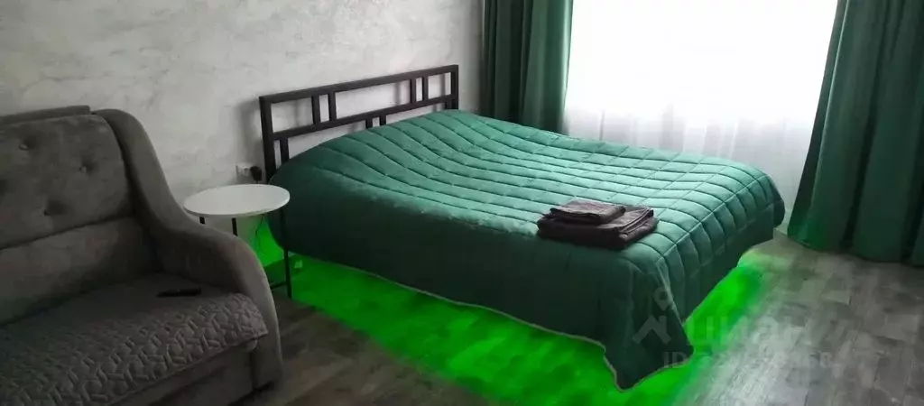 1-к кв. Алтайский край, Рубцовск Алейский пер., 41 (31.0 м) - Фото 1