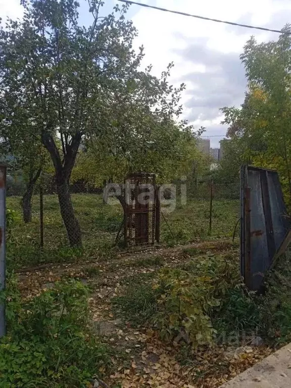 Участок в Челябинская область, Челябинск Тракторосад-1 садовое ... - Фото 1