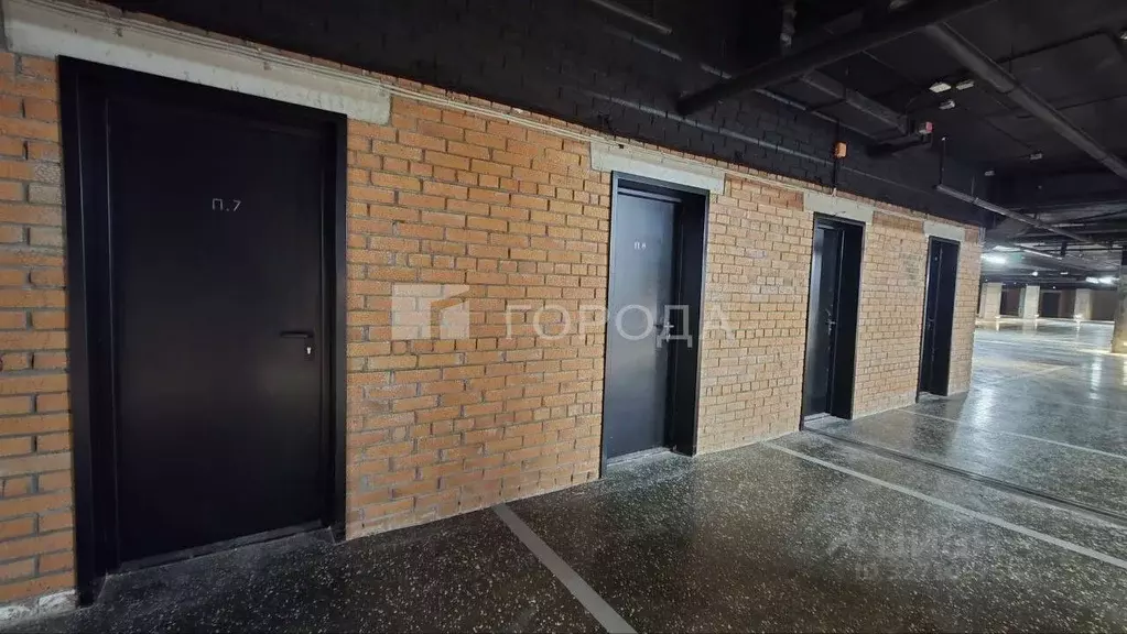 Помещение свободного назначения в Новосибирская область, Новосибирск ... - Фото 1