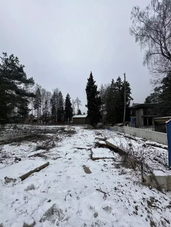 Участок в Московская область, Химки городской округ, д. Благовещенка ... - Фото 1