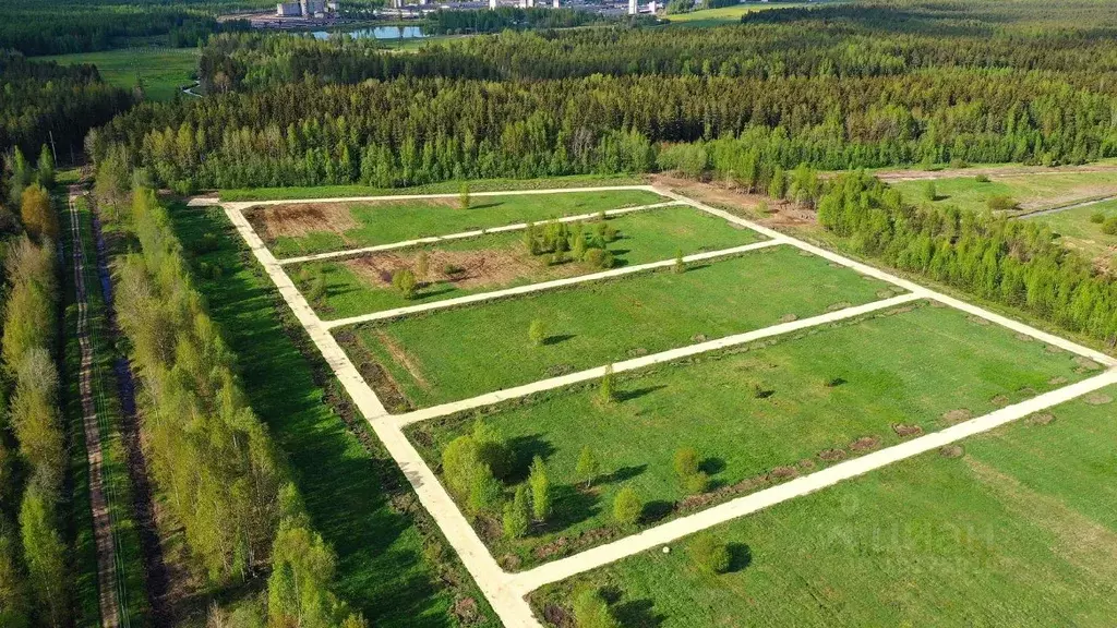 Участок в Ленинградская область, Всеволожский район, Романовское ... - Фото 0