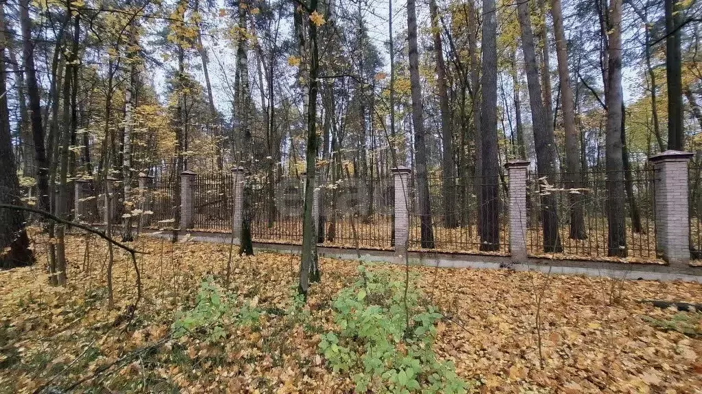 Участок в Московская область, Королев ул. Сосновый Бор (5.0 сот.) - Фото 1