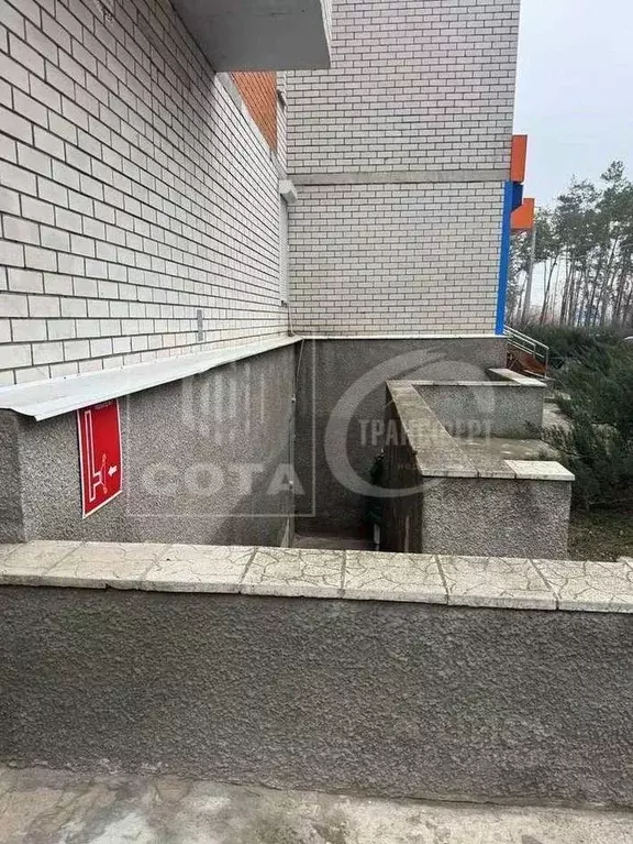 Помещение свободного назначения в Воронежская область, Воронеж ... - Фото 1