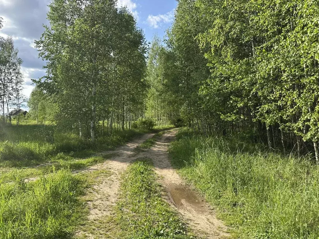 Участок в Нижегородская область, Сокольский муниципальный округ, д. ... - Фото 0