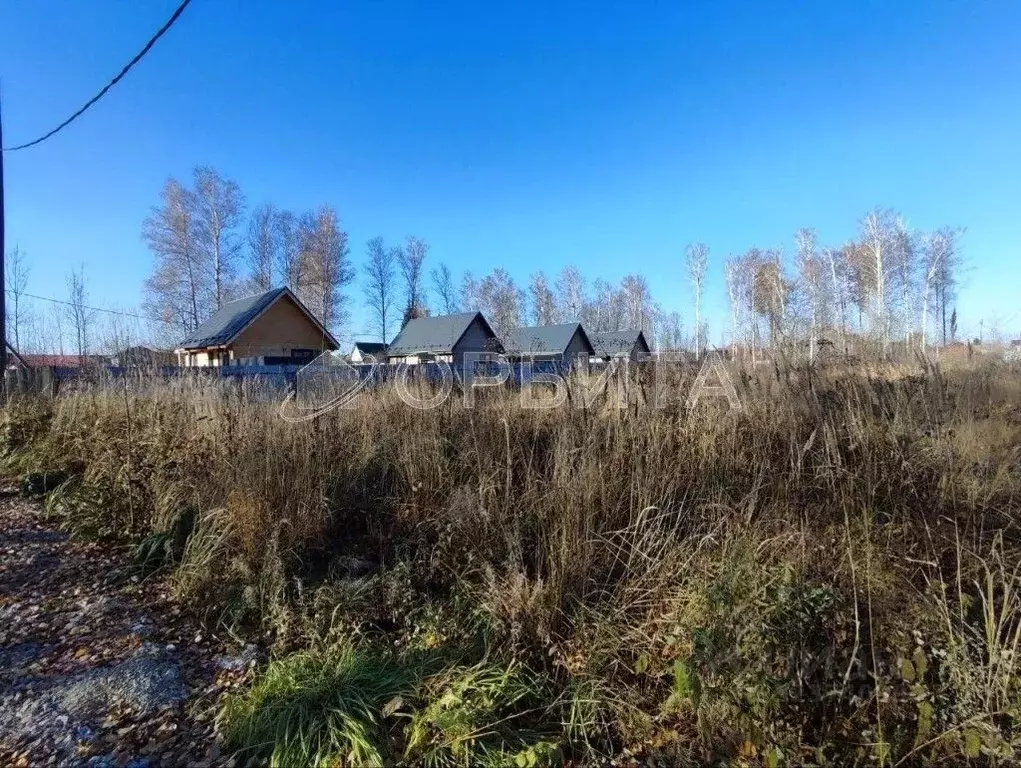 Участок в Тюменская область, Тюменский муниципальный округ, д. Большие ... - Фото 2