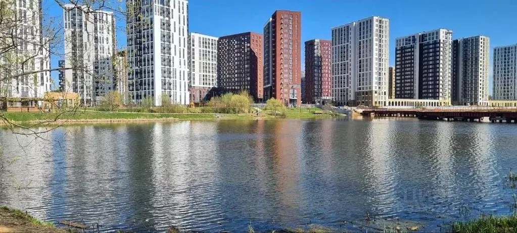 Студия Москва просп. Прокшинский, 9 (23.0 м) - Фото 1