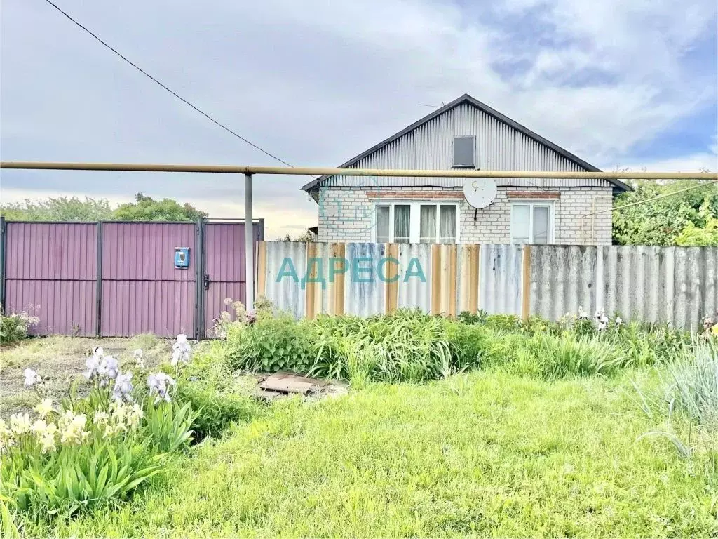 Дом в Белгородская область, Новооскольский муниципальный округ, с. ... - Фото 2