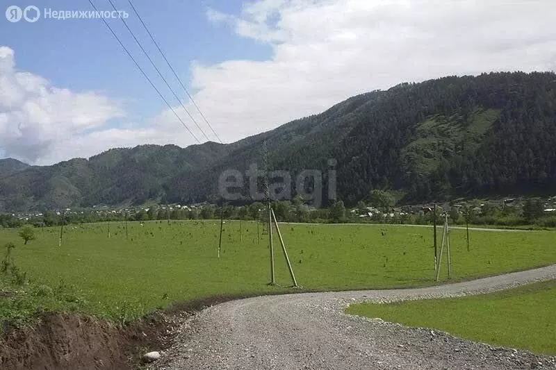 Участок в Чемальский район, село Аюла, Солнечная улица (7.92 м) - Фото 1