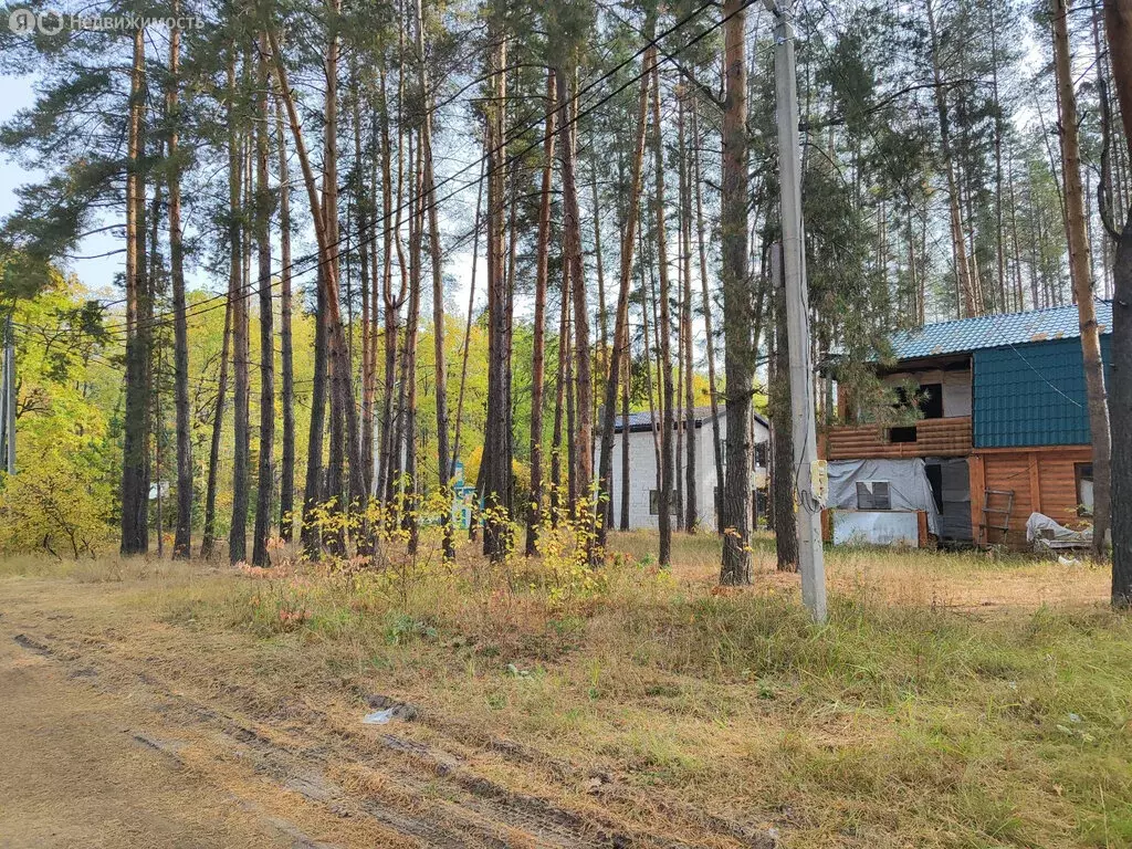 Участок в село Староживотинное, Заповедная улица, 32 (9.1 м) - Фото 1