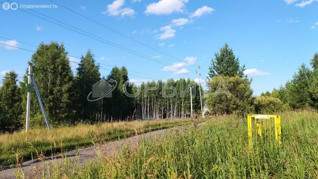 Участок в Тюменский район, деревня Головина (36 м) - Фото 1