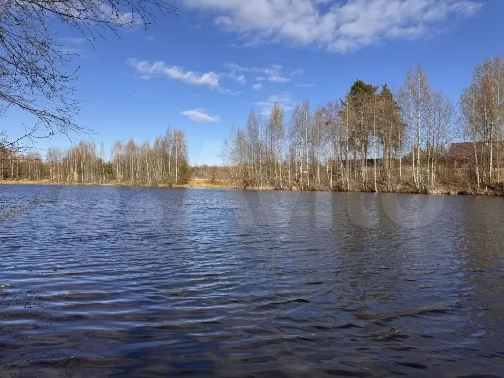 Участок 7,4 сот. (СНТ, ДНП) - Фото 0