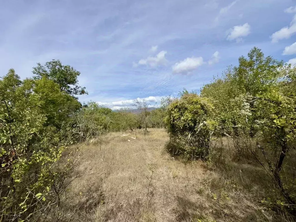 Участок в Севастополь с. Родниковское, ул. Степана Скитальца, 25 (20.0 ... - Фото 1