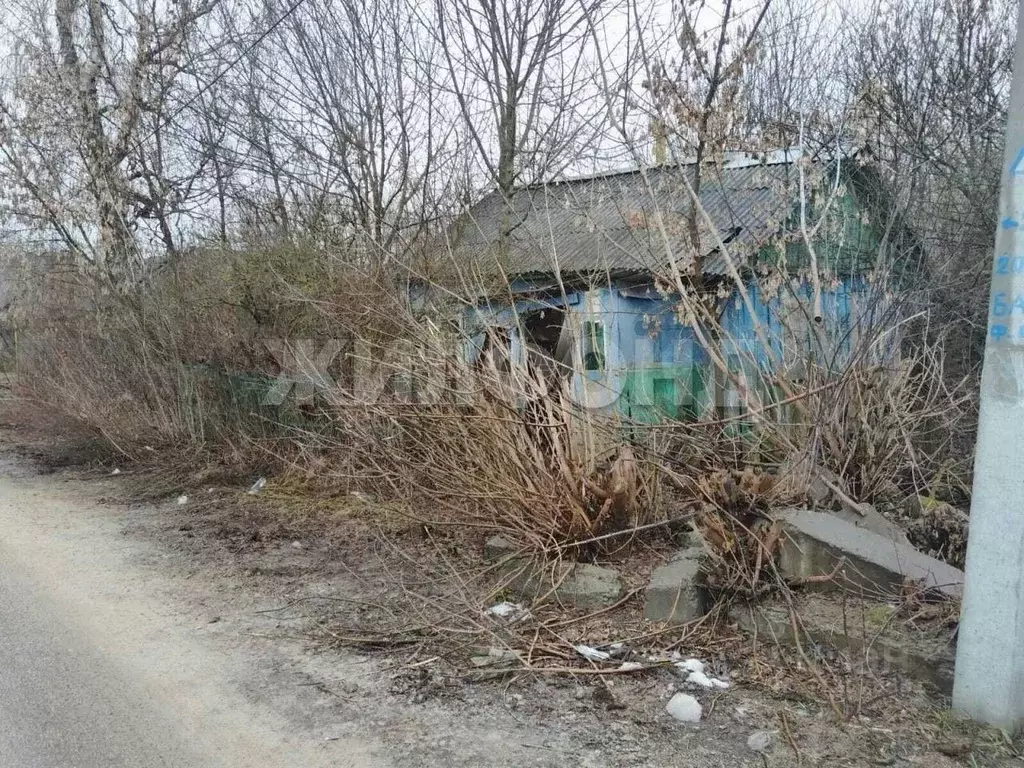 Участок в Брянская область, с. Жирятино ул. Возликова (23.0 сот.) - Фото 1