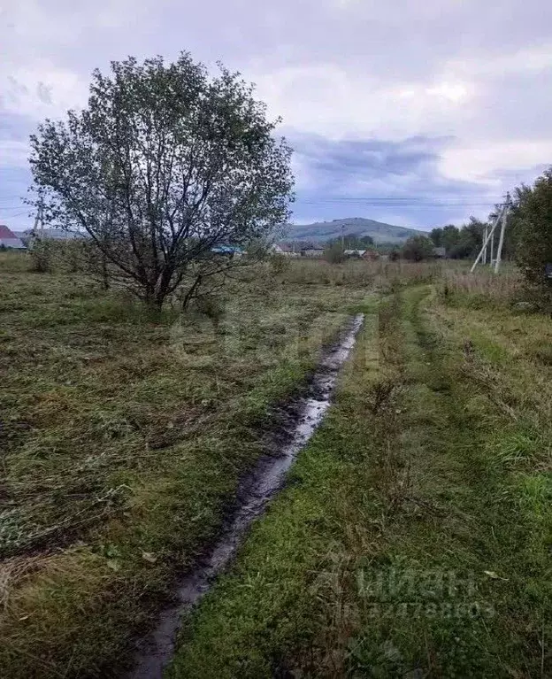 Участок в Алтайский край, Советский район, с. Платово  (10.0 сот.) - Фото 1