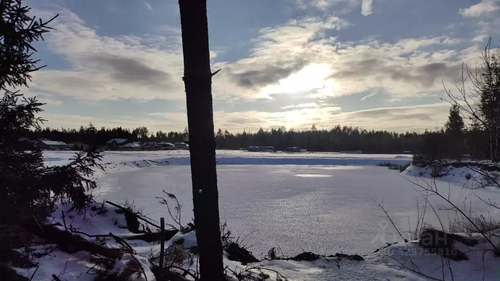 Участок в Московская область, Балашиха городской округ, д. Полтево  ... - Фото 2