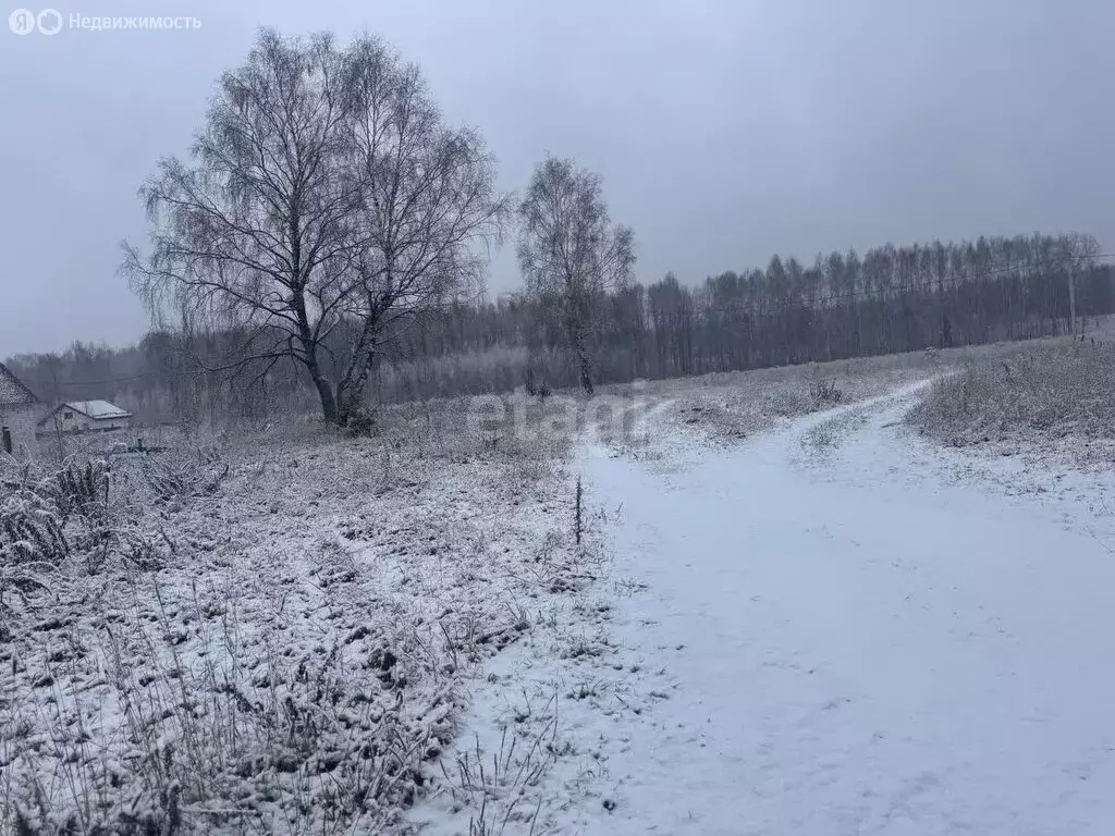 Участок в Нижегородская область, Балахнинский муниципальный округ, ... - Фото 0