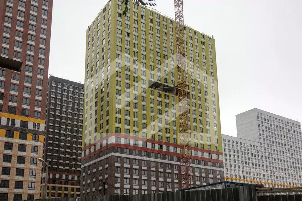 Помещение свободного назначения в Московская область, Котельники Белая ... - Фото 1