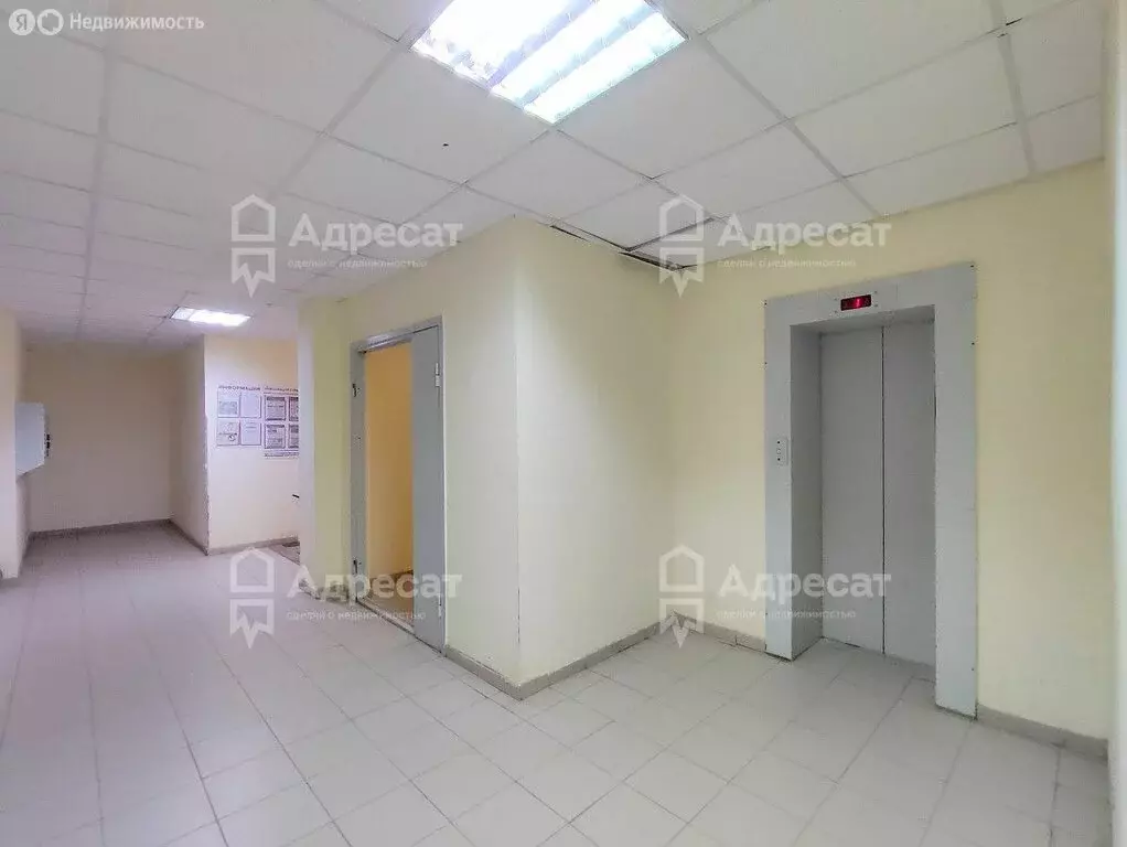 2-комнатная квартира: Волгоград, улица 51-й Гвардейской Дивизии, 28Б ... - Фото 0