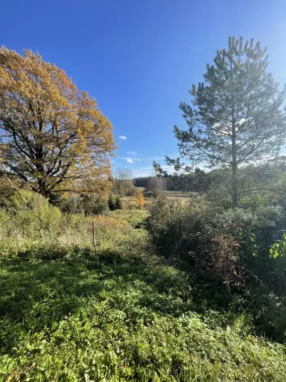 Участок в Ленинградская область, Гатчинский муниципальный округ, д. ... - Фото 2