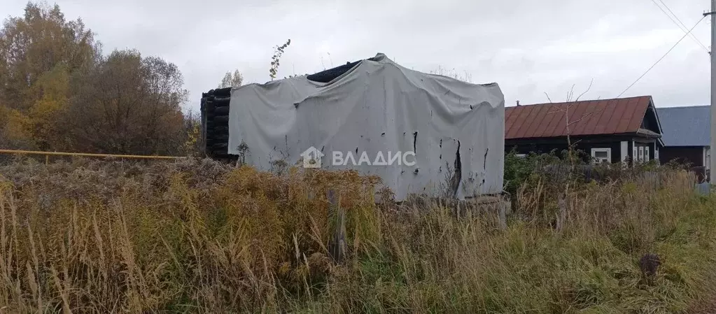 Участок в Владимирская область, Камешковский муниципальный округ, д. ... - Фото 2