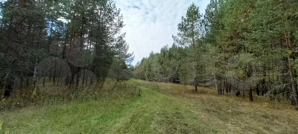 Участок 2 га (СНТ, ДНП) - Фото 0