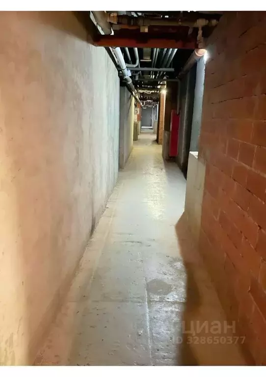 Гараж в Московская область, Богородский городской округ, д. Щемилово ... - Фото 2