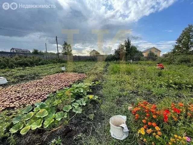 Участок в Коркино, СНТ Пригородный, 11-я улица (6 м) - Фото 0