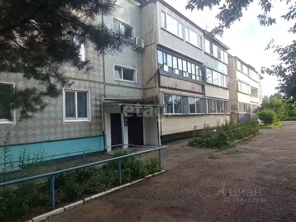 1-к кв. Амурская область, с. Тамбовка ул. Пионерская, 14 (32.4 м) - Фото 0