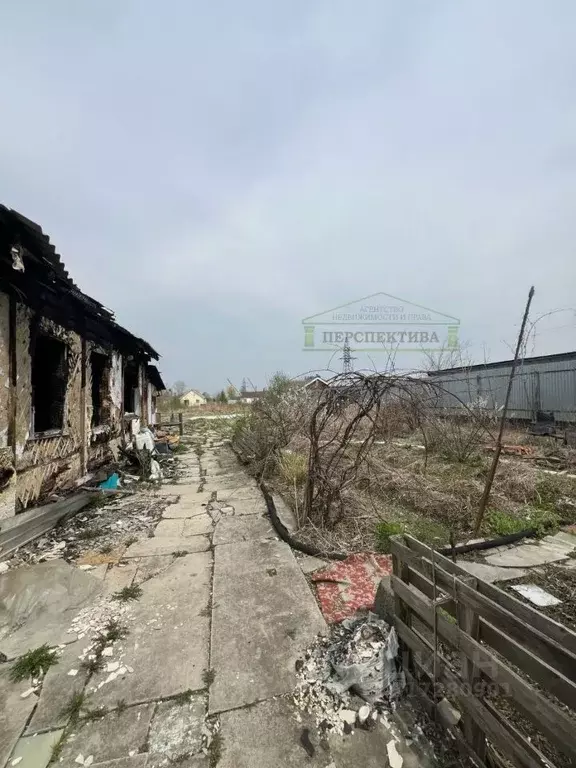 Участок в Приморский край, Артемовский городской округ, с. Кневичи ул. ... - Фото 0