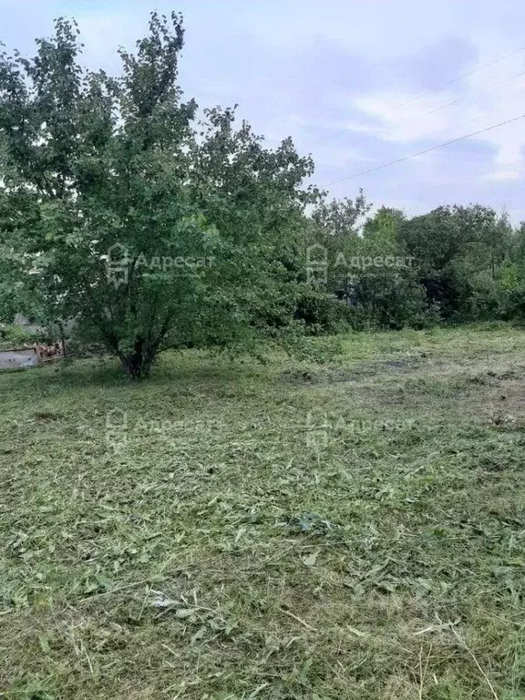 Дом в Волгоградская область, Волгоград Горчичник СНТ,  (18 м) - Фото 1