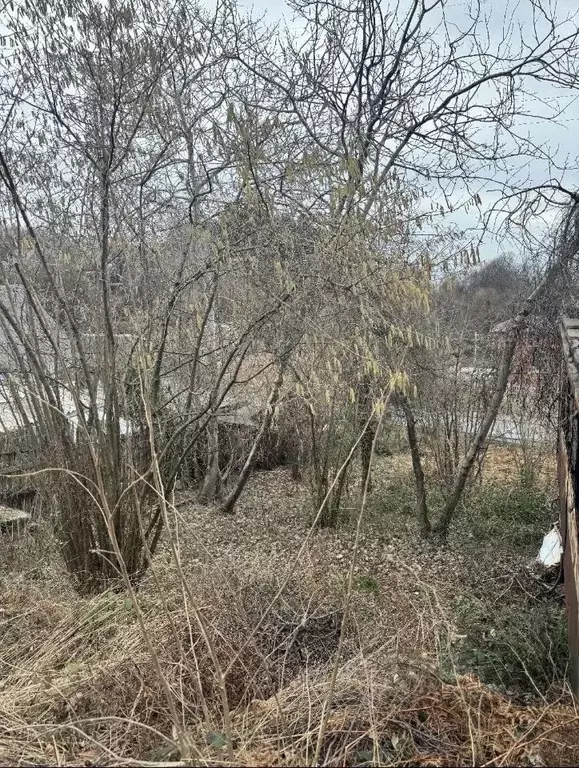 Участок в Краснодарский край, Сочи Заря СТ, 20А (4.4 сот.) - Фото 1