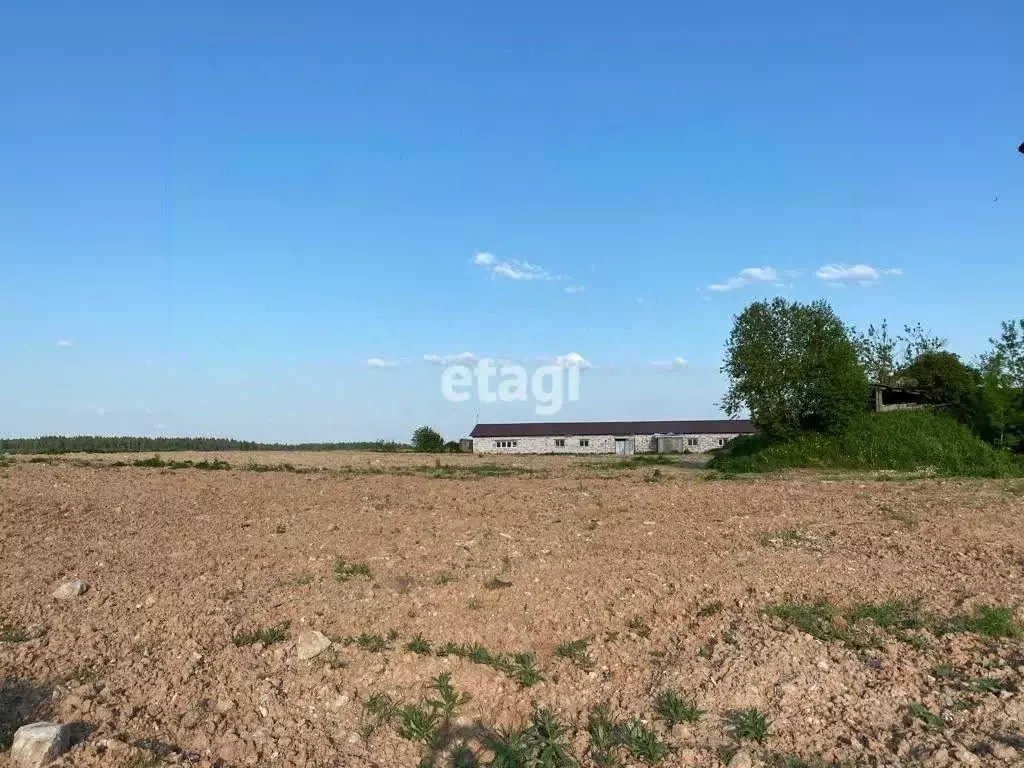 Участок в Ленинградская область, Гатчинский муниципальный округ, пос. ... - Фото 1