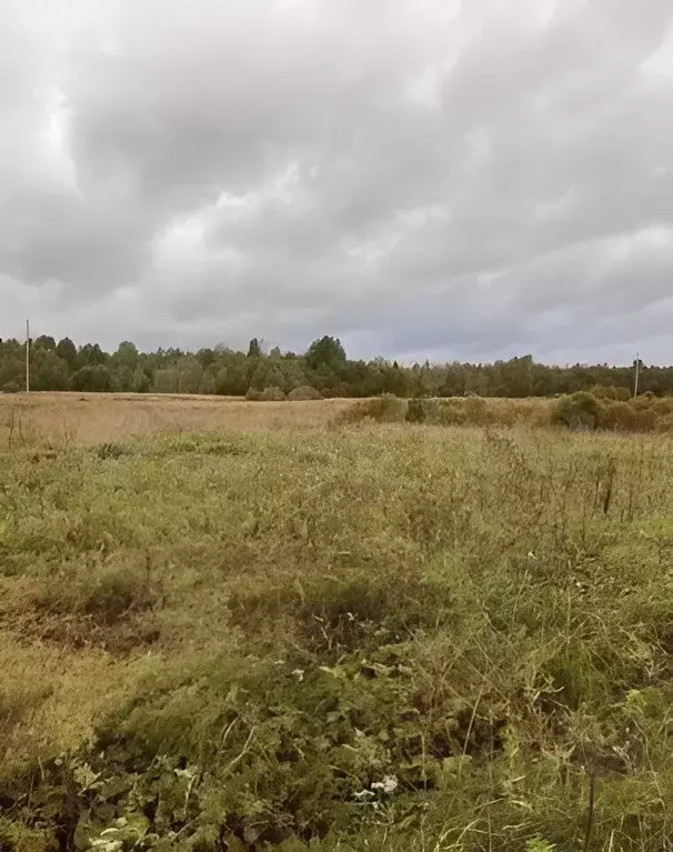 Участок в Ленинградская область, Приозерский район, Севастьяновское ... - Фото 0