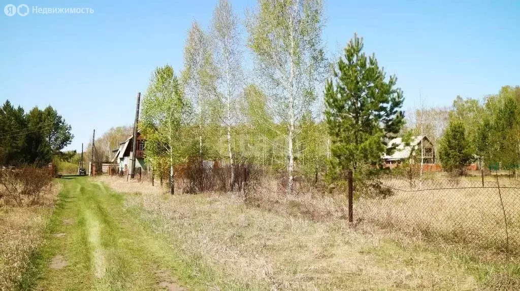 Участок в Ордынский район, садовое товарищество Заимка-1, 1 (10 м) - Фото 1