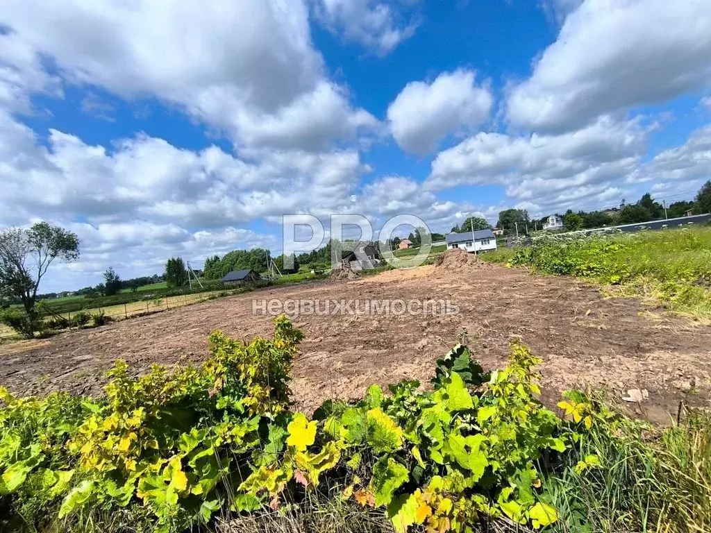 Участок в Ярославская область, Некоузский муниципальный округ, д. ... - Фото 1