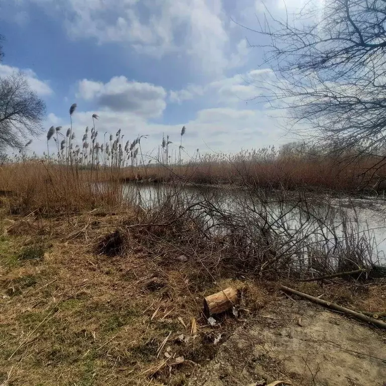 Участок в Краснодарский край, Динской район, Новотитаровское с/пос, ... - Фото 2