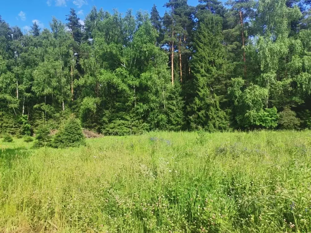 Участок в Московская область, Солнечногорск городской округ, д. ... - Фото 2