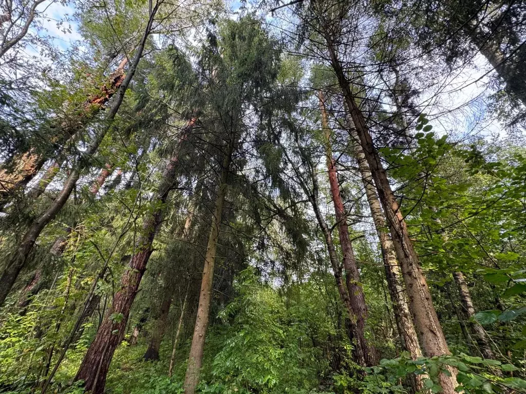 Участок в Московская область, Красногорск городской округ, д. ... - Фото 1