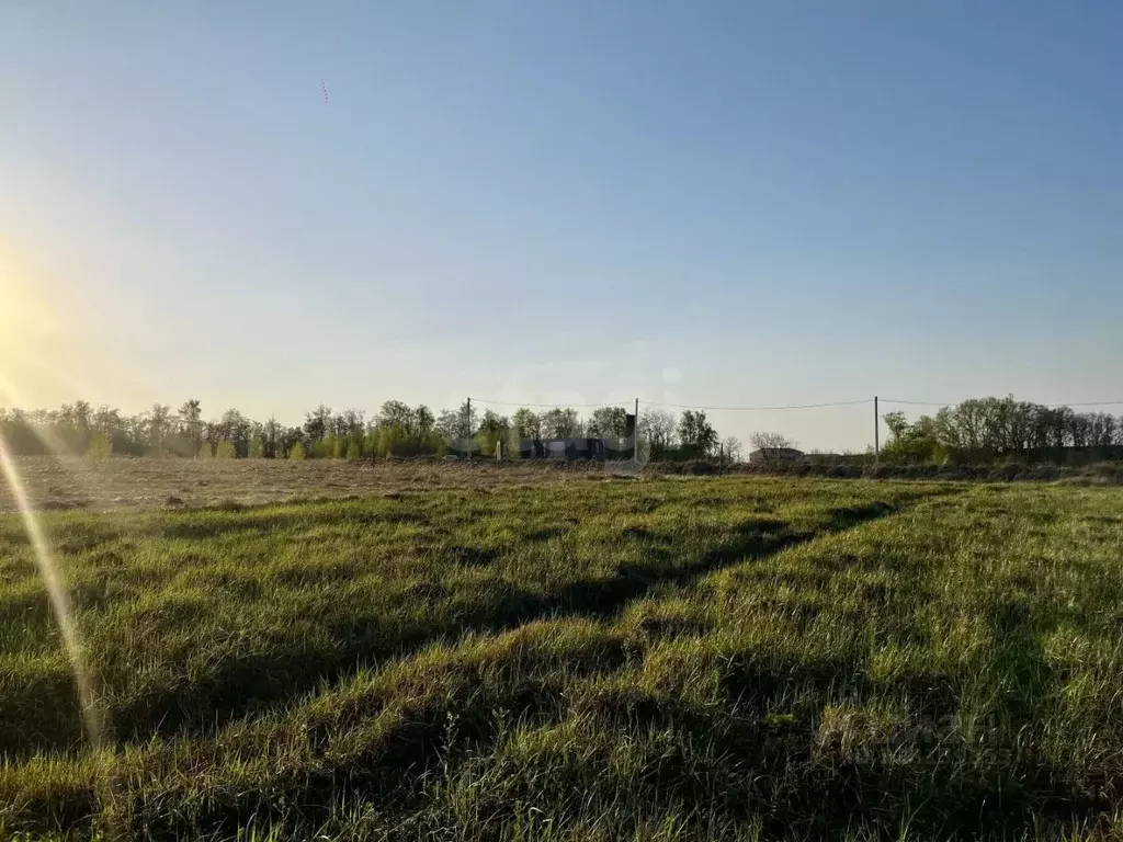 Участок в Курская область, Курск ул. Комдива Высоцкого (10.0 сот.) - Фото 1