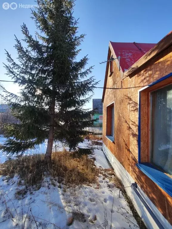 Участок в Камчатский край, Елизовский муниципальный округ, СНТ Мираж ... - Фото 2