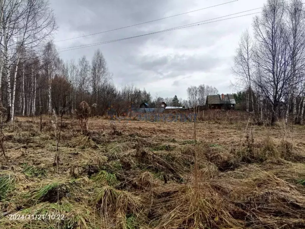 Участок в Нижегородская область, Семеновский городской округ, д. ... - Фото 1